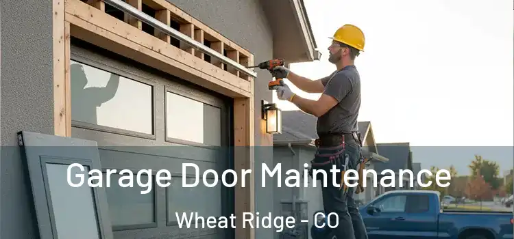 Garage Door Maintenance Wheat Ridge - CO
